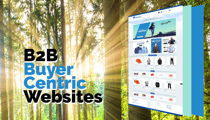 B2B_Buyer_Centric_Website_Banner.jpg