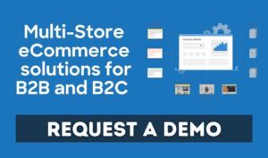 multi-store-eCommerce-solutions-to-both-B2B-and-B2C-customers